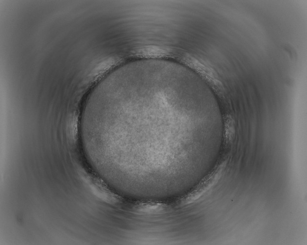 X0000111800206200908201200
