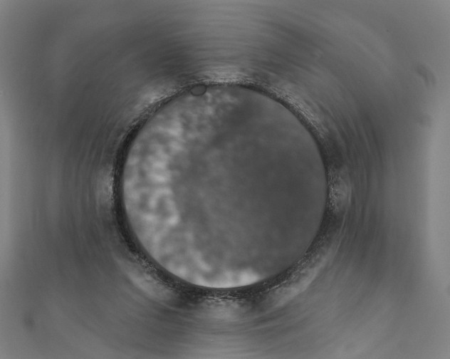 X0000111800207200908201200