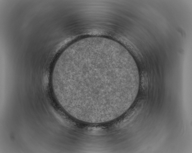 X0000111800208200908201200