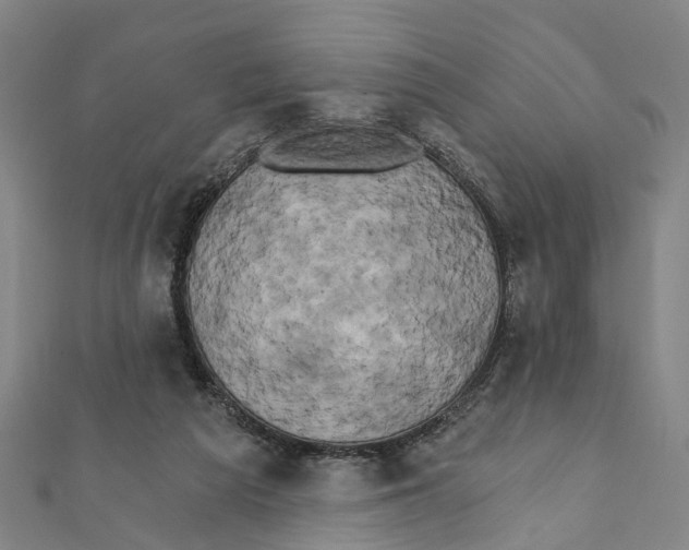 X0000111800209200908201200