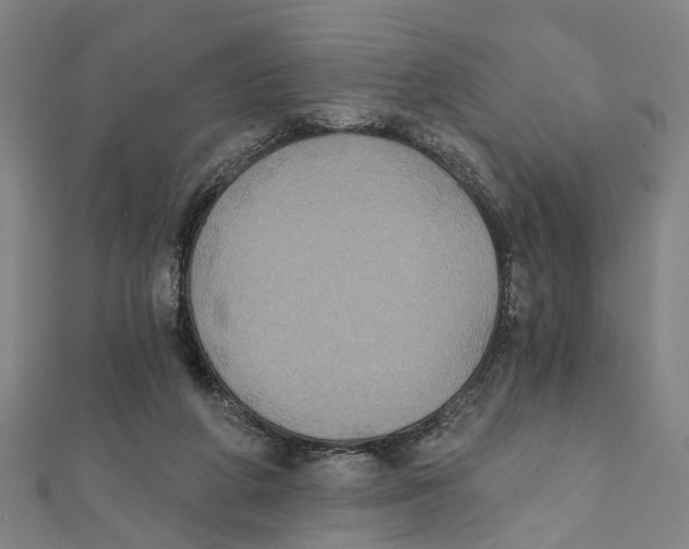 X0000111800210200908201200