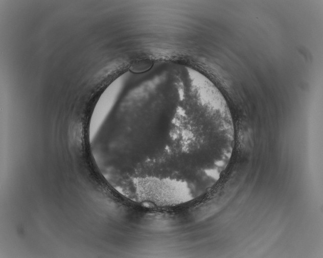 X0000111800211200908201200