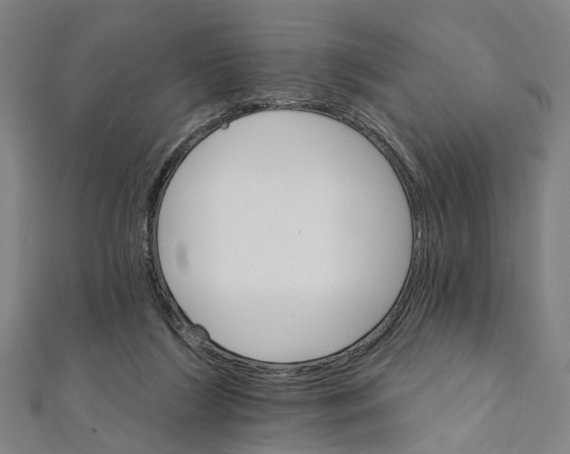 X0000111800212200908201200