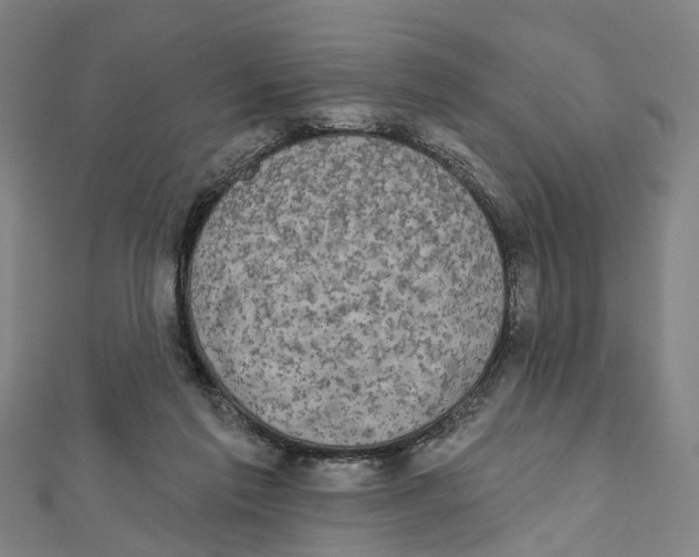 X0000111800213200908201200