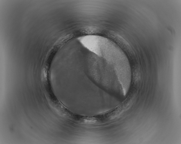 X0000111800214200908201200