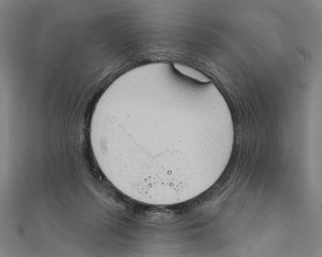 X0000111800215200908201200
