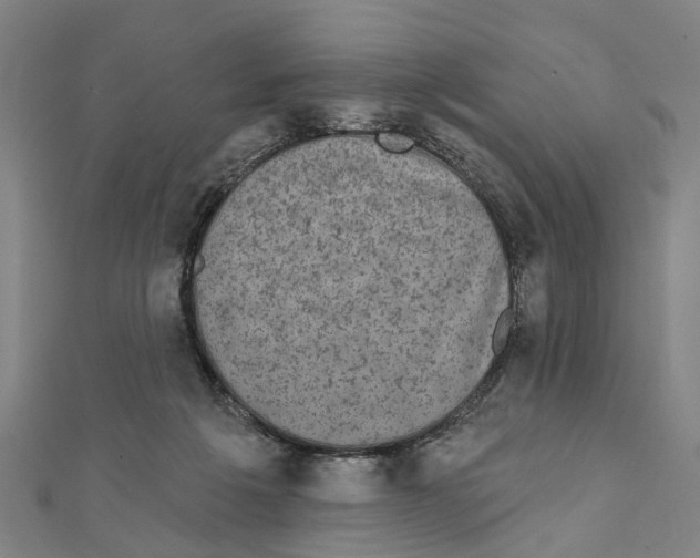 X0000111800217200908201200