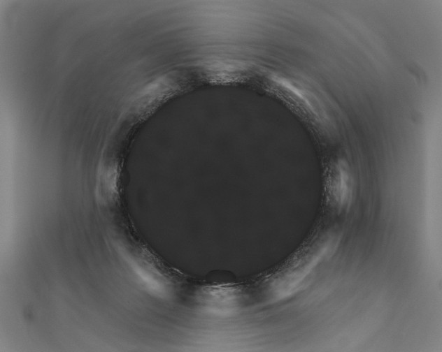 X0000111800219200908201200