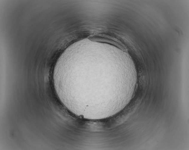 X0000111800221200908201200