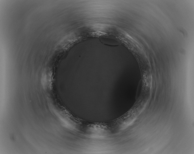 X0000111800223200908201200