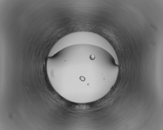 X0000111800225200908201200