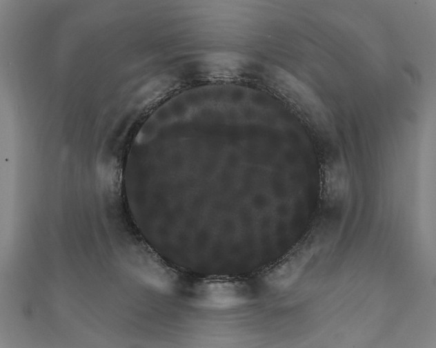 X0000111800228200908201200