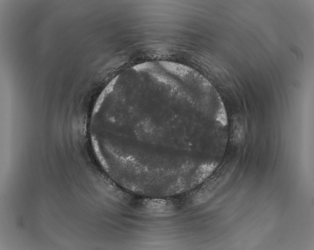 X0000111800230200908201200