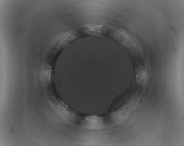 X0000111800231200908201200
