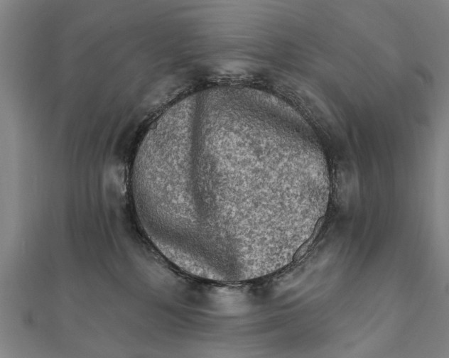 X0000111800232200908201200