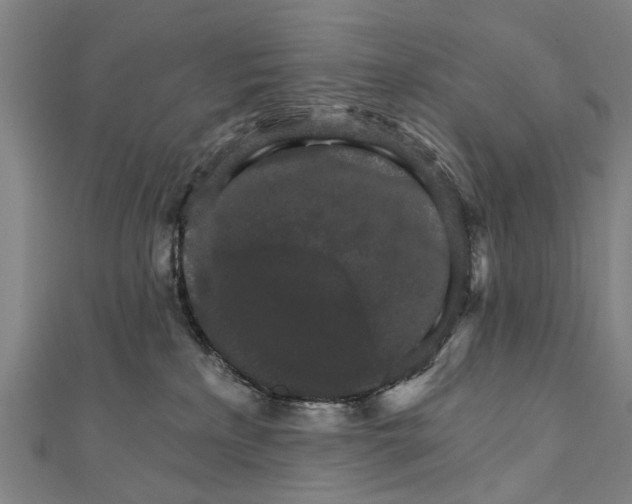 X0000111800233200908201200