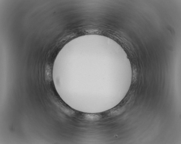 X0000111800234200908201200