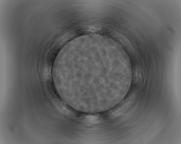 X0000111800236200908201200