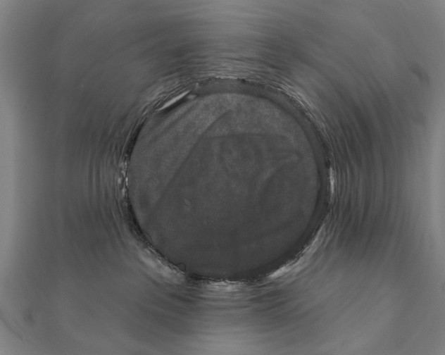 X0000111800237200908201200