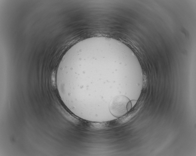 X0000111800238200908201200