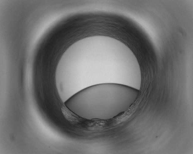X0000111800239200908201200