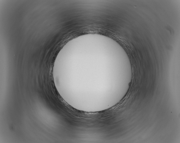 X0000111800240200908201200