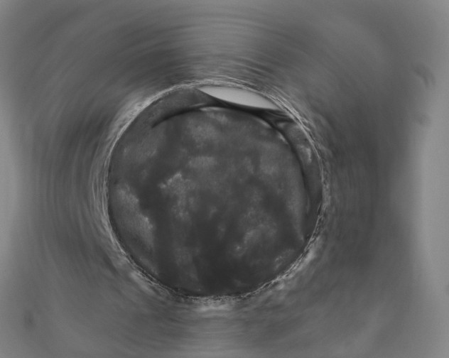 X0000111800241200908201159