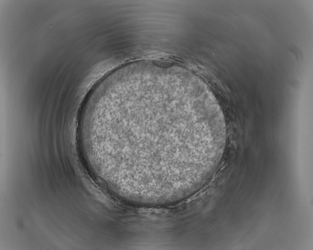 X0000111800242200908201159