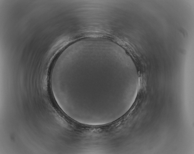 X0000111800243200908201159