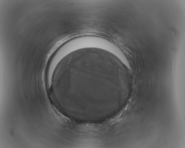 X0000111800244200908201159