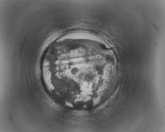 X0000111800245200908201159