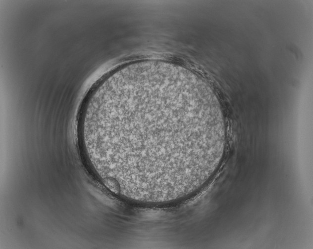 X0000111800246200908201159
