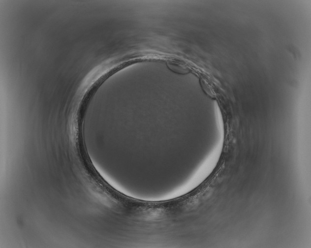 X0000111800247200908201159