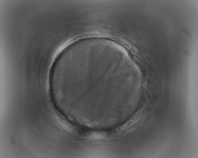 X0000111800248200908201159