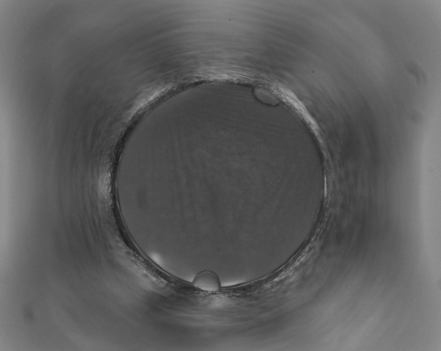 X0000111800249200908201159