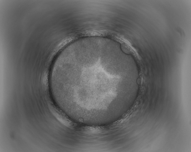 X0000111800250200908201159