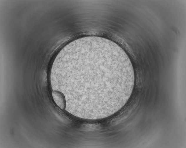 X0000111800251200908201159