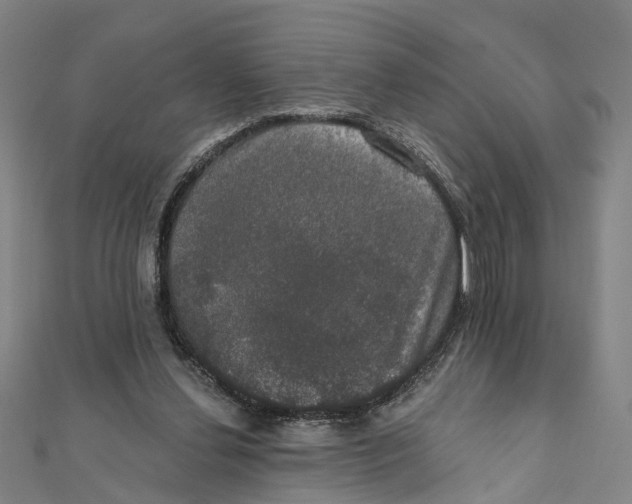 X0000111800252200908201159