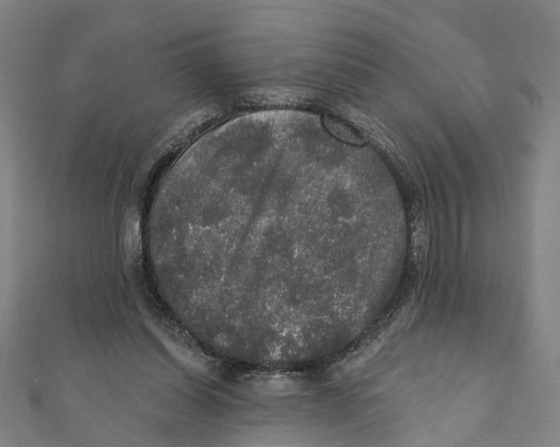X0000111800254200908201159