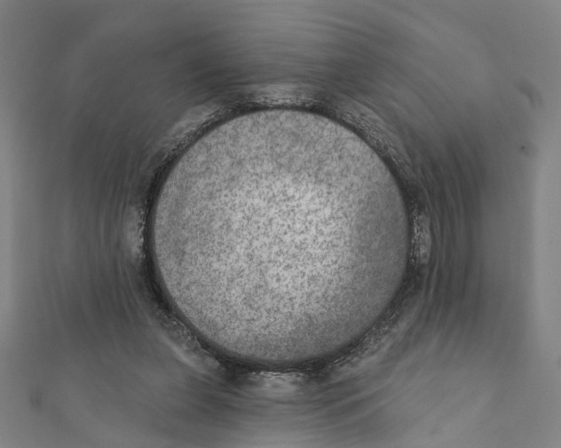 X0000111800255200908201159