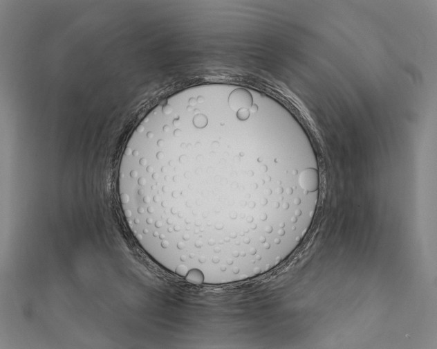 X0000111800257200908201159