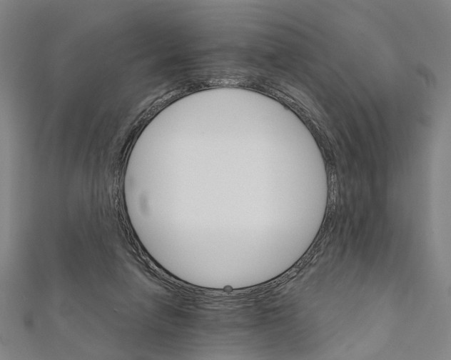X0000111800258200908201159