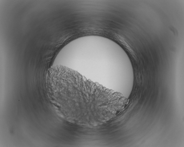 X0000111800259200908201159
