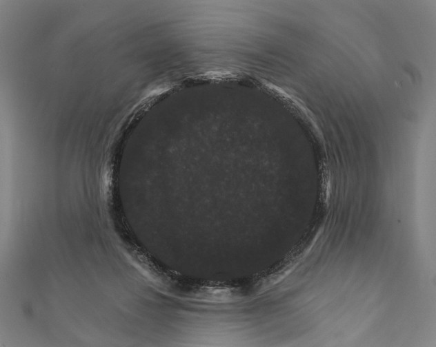 X0000111800260200908201159