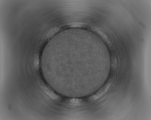X0000111800261200908201159