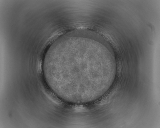 X0000111800262200908201159