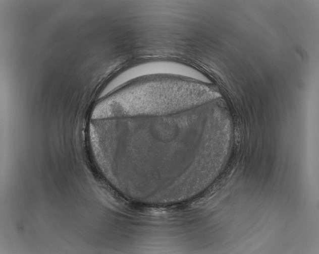X0000111800264200908201159