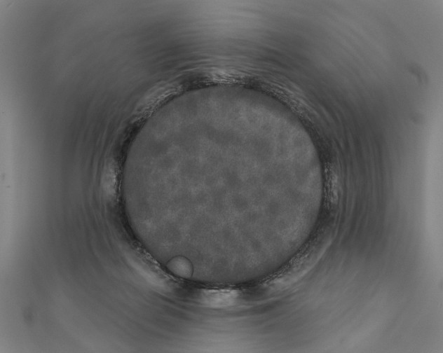 X0000111800266200908201159