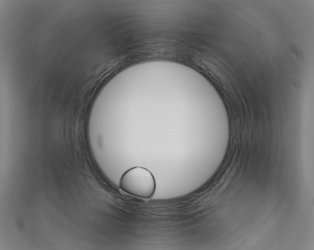 X0000111800268200908201159