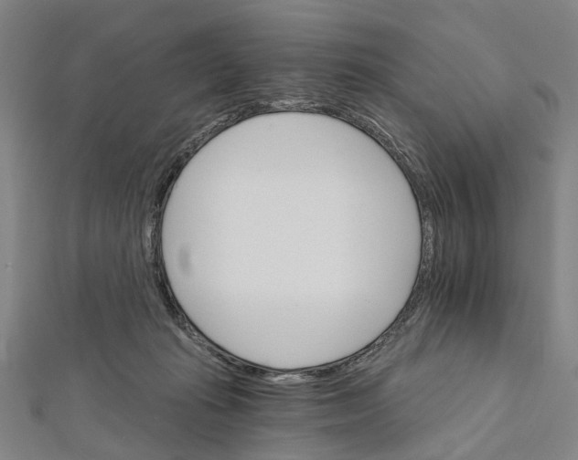 X0000111800269200908201159